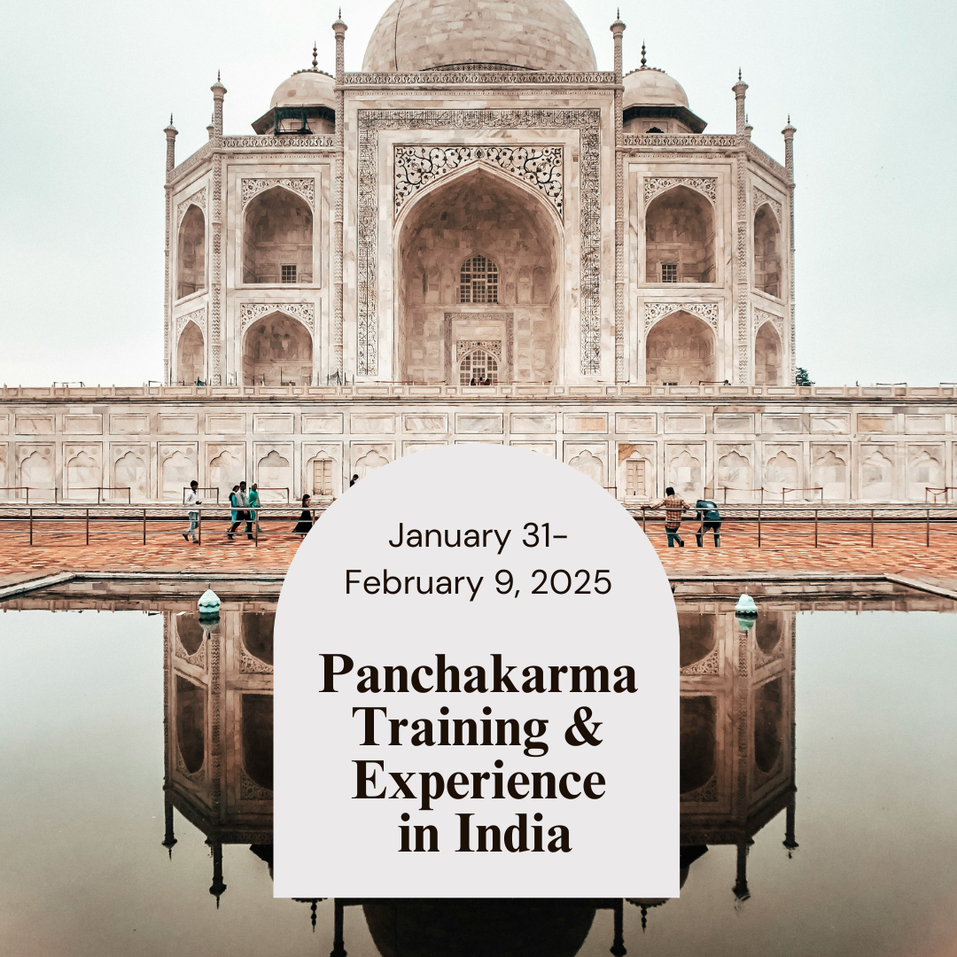 Panchakarma Training and Experience in India - February 2025